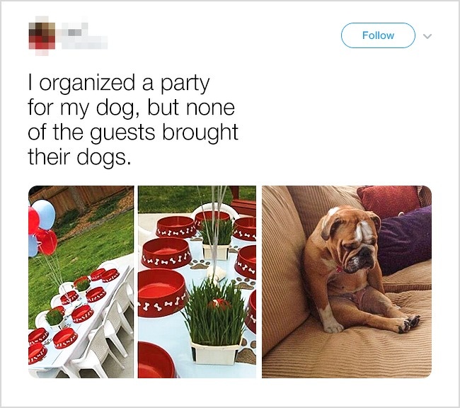 Unpredictable ending - Torganized a party for my dog, but none of the guests brought their dogs. Pms