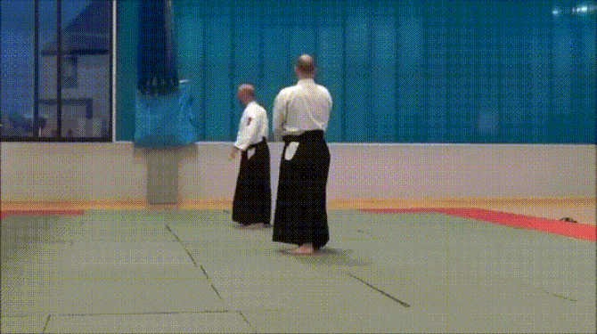 aikido master running from sword