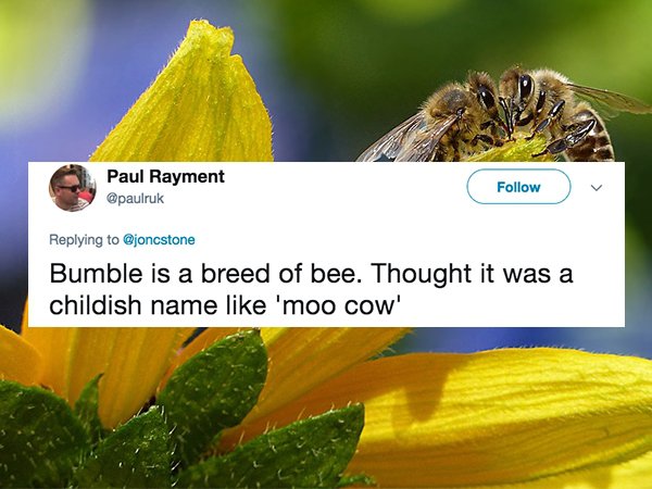 bee habitats - Paul Rayment Bumble is a breed of bee. Thought it was a childish name 'moo cow'