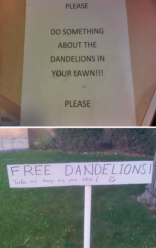 funny passive aggressive neighbors - Please Do Something About The Dandelions In Your Lawn!!! Please Free Dandelions ! Take as many as you !