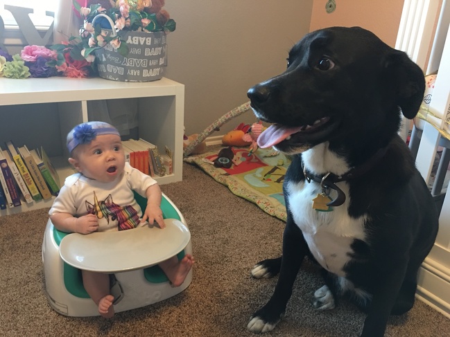 “My niece meets a dog for the first time.”