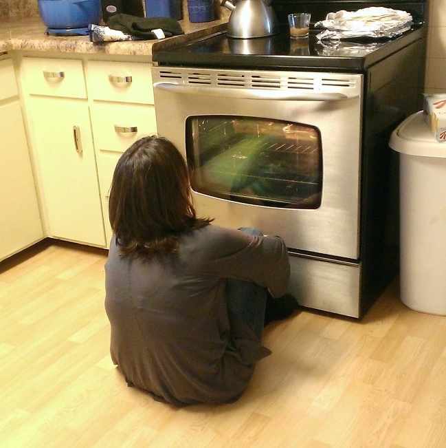 Mom finally got her first oven with a window.