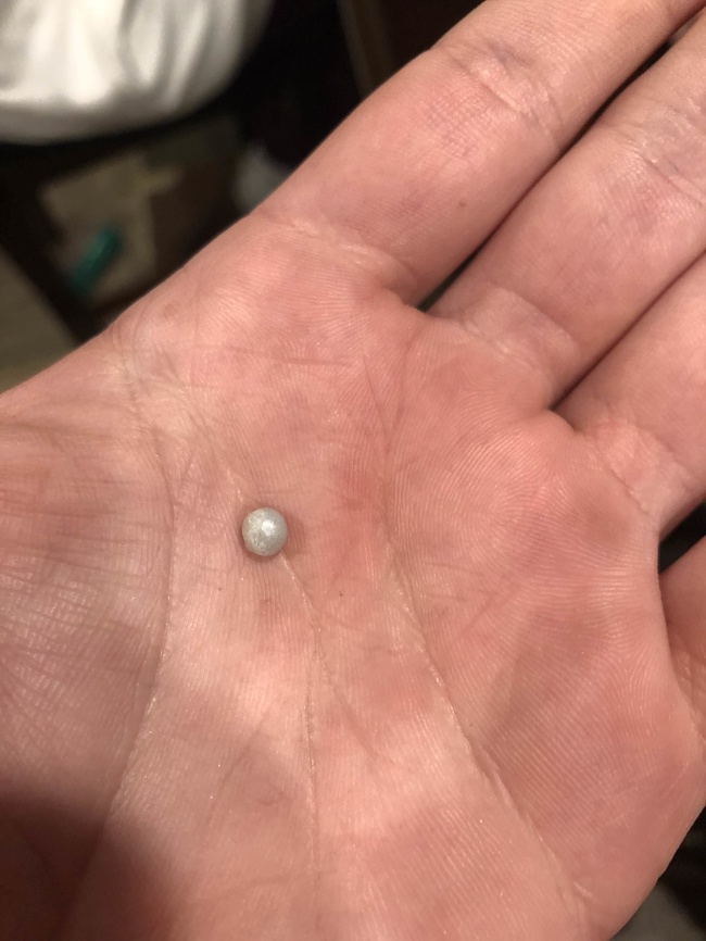 “I found a pearl in my oyster from the fish market today.”