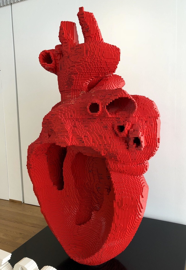 Giant anatomically correct heart made of legos