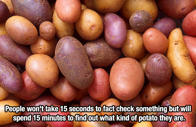 24 Things You Just Can’t Ague With