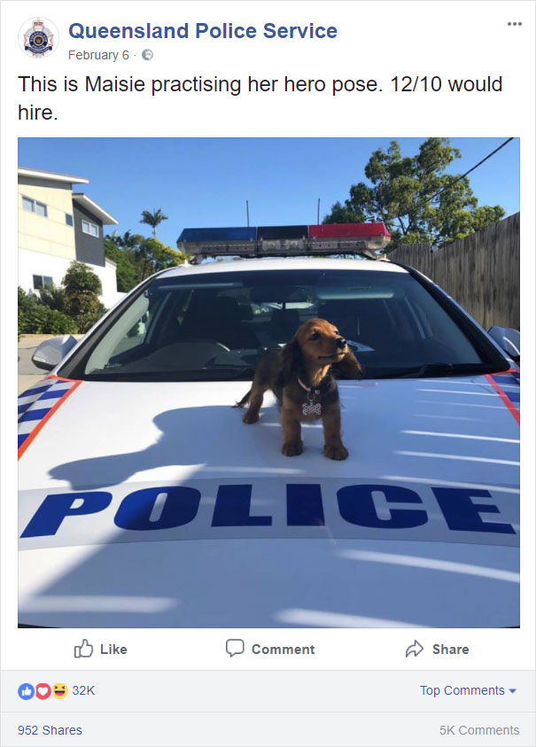 funny police - Queensland Police Service February 6 This is Maisie practising her hero pose. 1210 would hire. Comment Do 32K Top 952 5K