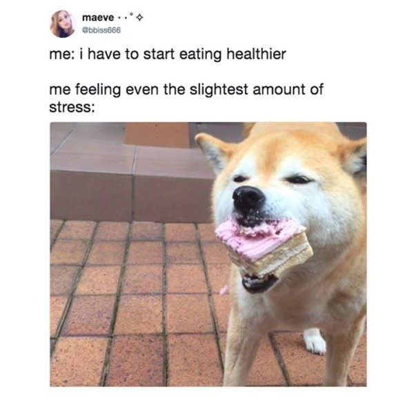 me i have to start eating healthier meme - maeve .. me i have to start eating healthier me feeling even the slightest amount of stress