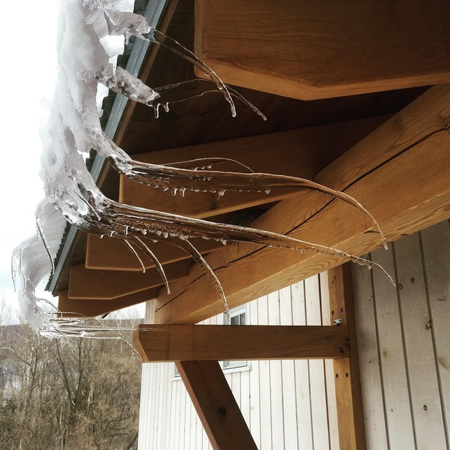A windy day in the northeast caused these icicles to form sideways.
