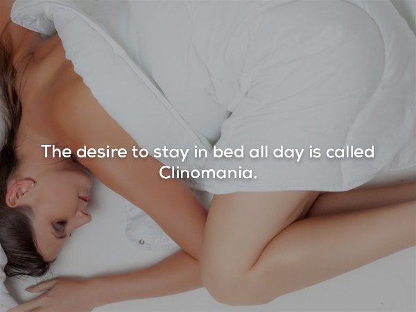 The desire to stay in bed all day is called Clinomania.