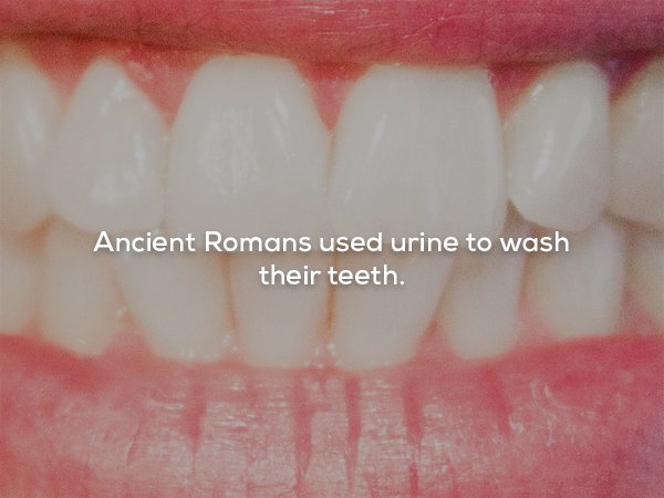 tooth - Ancient Romans used urine to wash their teeth.