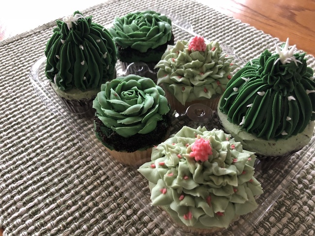 cacti cupcakes