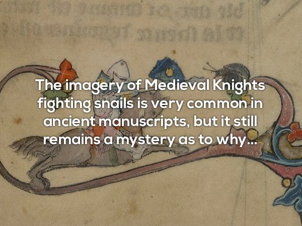 The imagery of Medieval Knights fighting snails is very common in ancient manuscripts, but it still remains a mystery as to why...