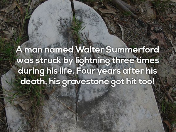 tree - A man named Walter Summerford was struck by lightning three times during his life. Four years after his death, his gravestone got hit too! Ced Yes Years