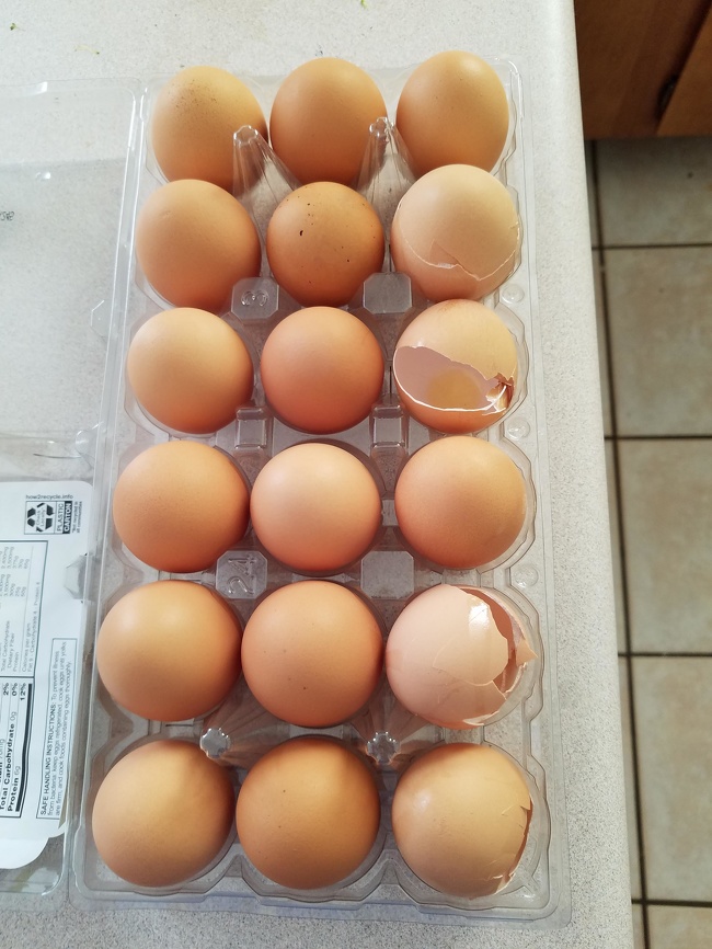 “Oh, let me just put these empty eggshells back in the container. I married a savage.”