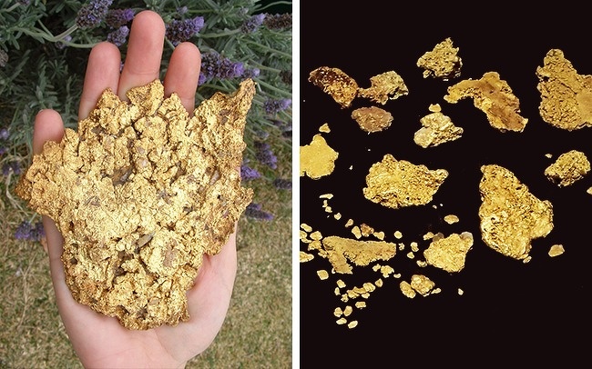 In Ballarat (Australia) a local farmer was walking with a metal detector on desert lands around his home. When the device detected something, he started digging. Immediately he found little pieces of gold. He continued digging and found a huge piece of gold that weighed 5.5 kg and was worth $315,000.

Surprisingly, this area was explored many times but nothing special was found there. This is how the nugget looked.