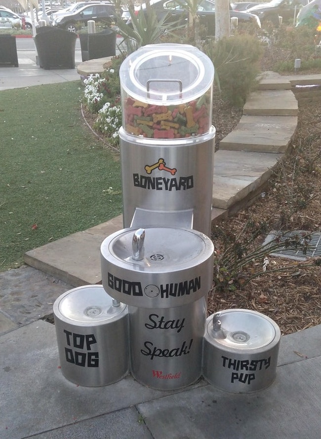 This street fountain with drinking water has 2 smaller fountains for dogs of different sizes and a container full of snacks for them.