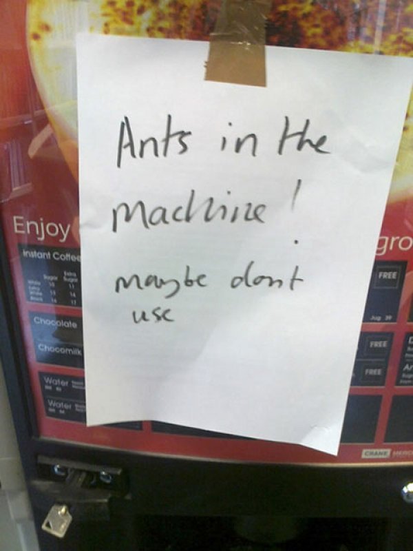 26 vending machines causing havoc