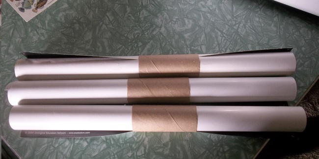 Use toilet paper rolls to store posters.