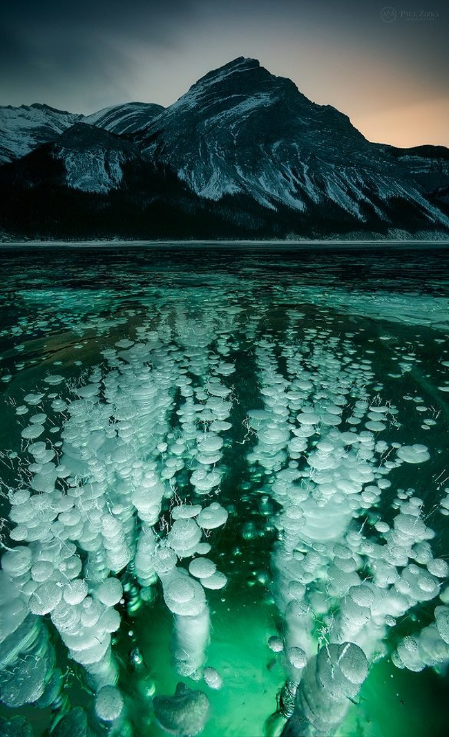 Methane bubbles in Lake Minnewanka, Banff National Park, Canada