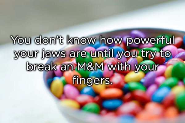 jelly bean - You don't know how powerful your jaws are until you try to break an M&M with your fingers.