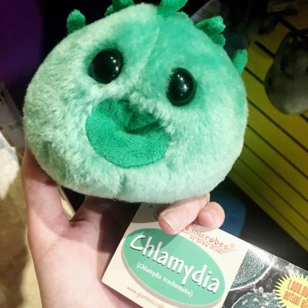 stuffed toy - Crimicrobes Chlamydia Chlamydia trachomatis rok