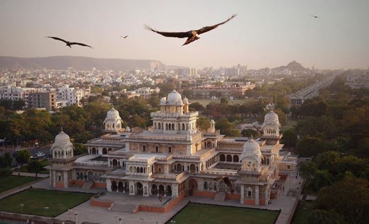 Up with the birds — Jaipur, Rajasthan, India