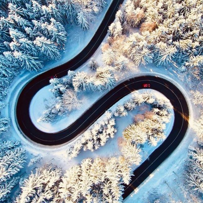 “Curves” in the winter forest