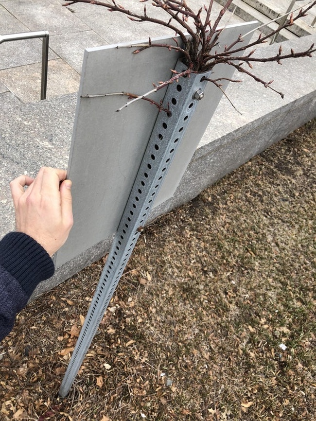 There’s a tree growing out of this sign post.