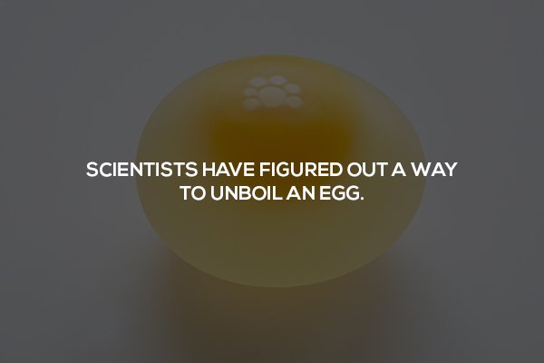 23 Science Facts to Help Your Brain Get Swole