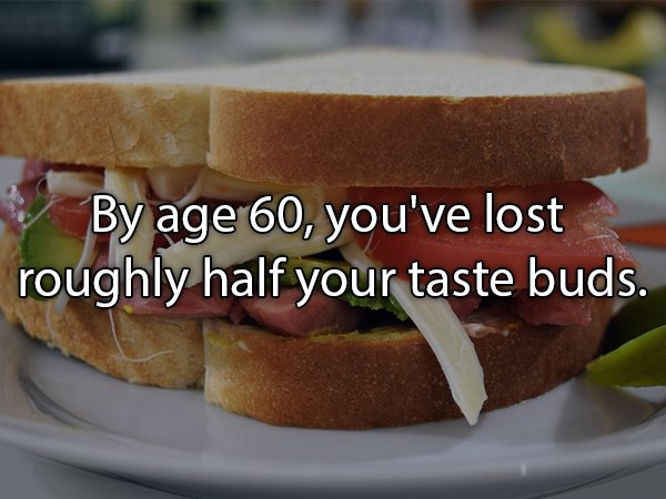 Sandwich - By age 60, you've lost roughly half your taste buds.