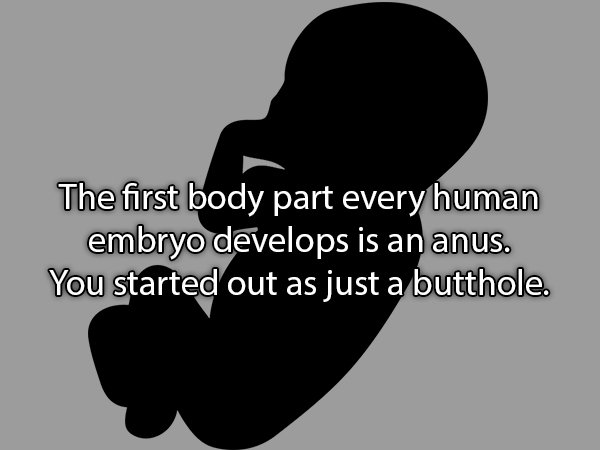 human behavior - The first body part every human embryo develops is an anus. You started out as just a butthole.