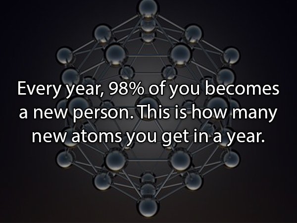 ob gyn exam - Every year, 98% of you becomes a new person. This is how many new atoms you get in a year.