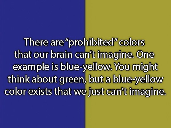 material - There are "prohibited" colors that our brain can't imagine. One example is blueyellow. You might think about green, but a blueyellow color exists that we just can't imagine.