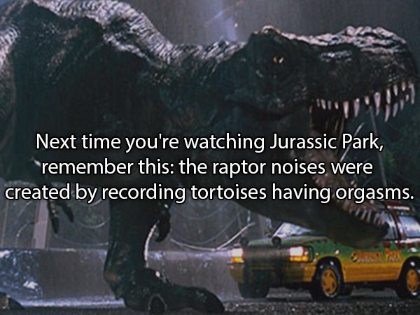 jurassic park scene - Next time you're watching Jurassic Park, remember this the raptor noises were created by recording tortoises having orgasms.