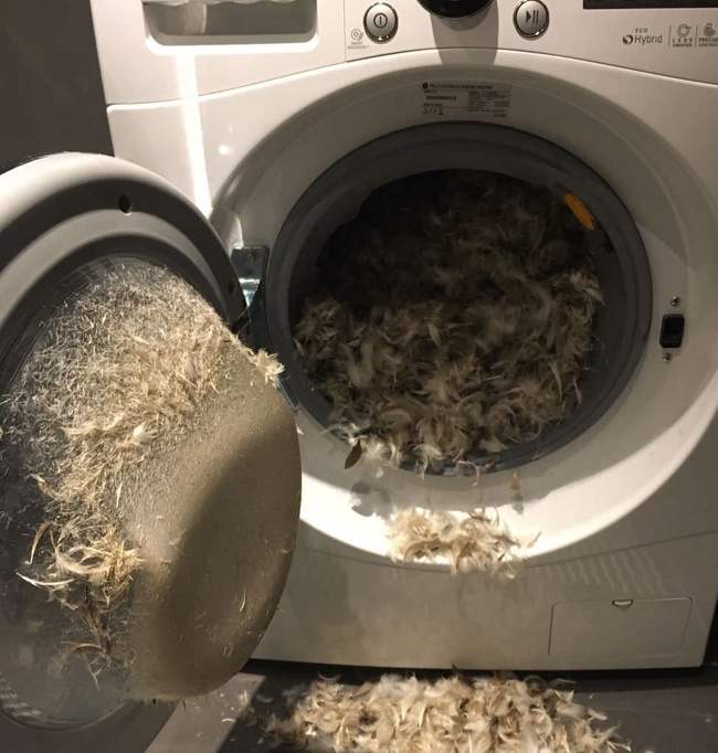 “A feather pillow exploded in my washing machine.”