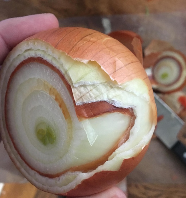 My onion has two-layers of skin