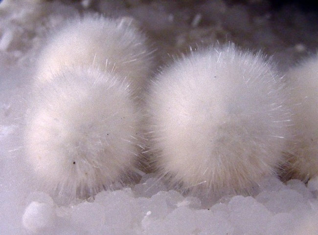 These fluffy balls are actually a mineral called okenite.