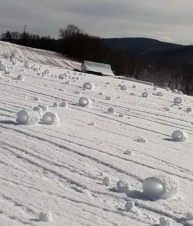 Snow rolls formed by the wind.