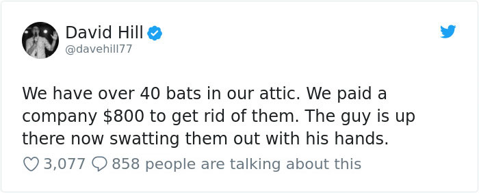 Guy Pays Hapless Workers $800 to Get Rid of Bats