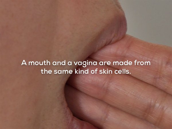 21 Unusual Facts That Range From Odd To Disturbing