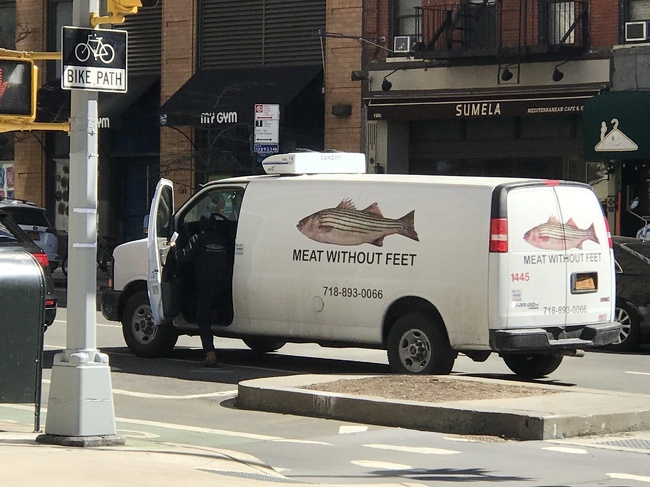 Best fish company ever