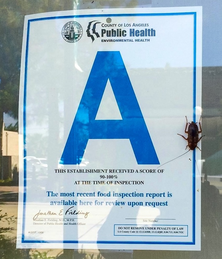 epitome of irony - County Of Los Angeles Ki Public Health Environmental Health This Establishment Received A Score Of 90100% At The Time Of Inspection The most recent food inspection report is available here for review upon request Jonathan Efielding Sera