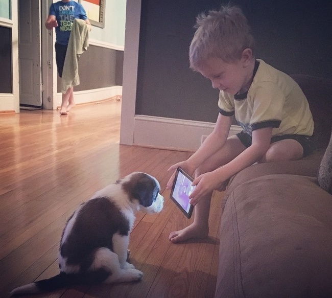 “This isn’t exactly what we meant when we told him that he could look up puppy training tips on YouTube.”