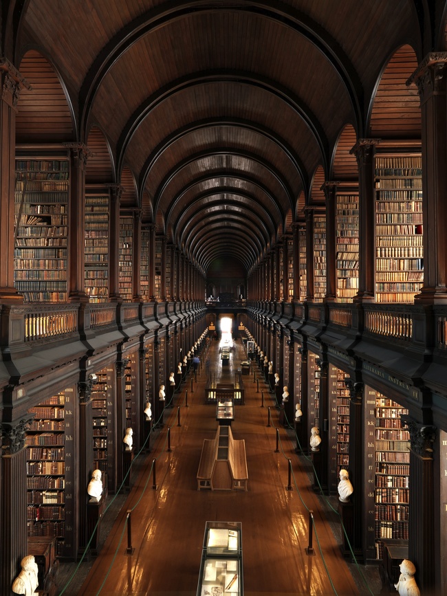 The library hall, Dublin