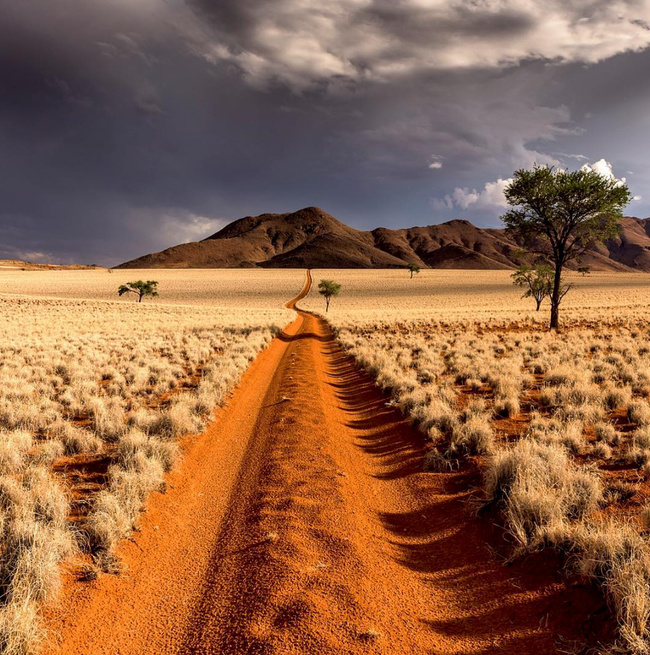 A road in the Namib desert