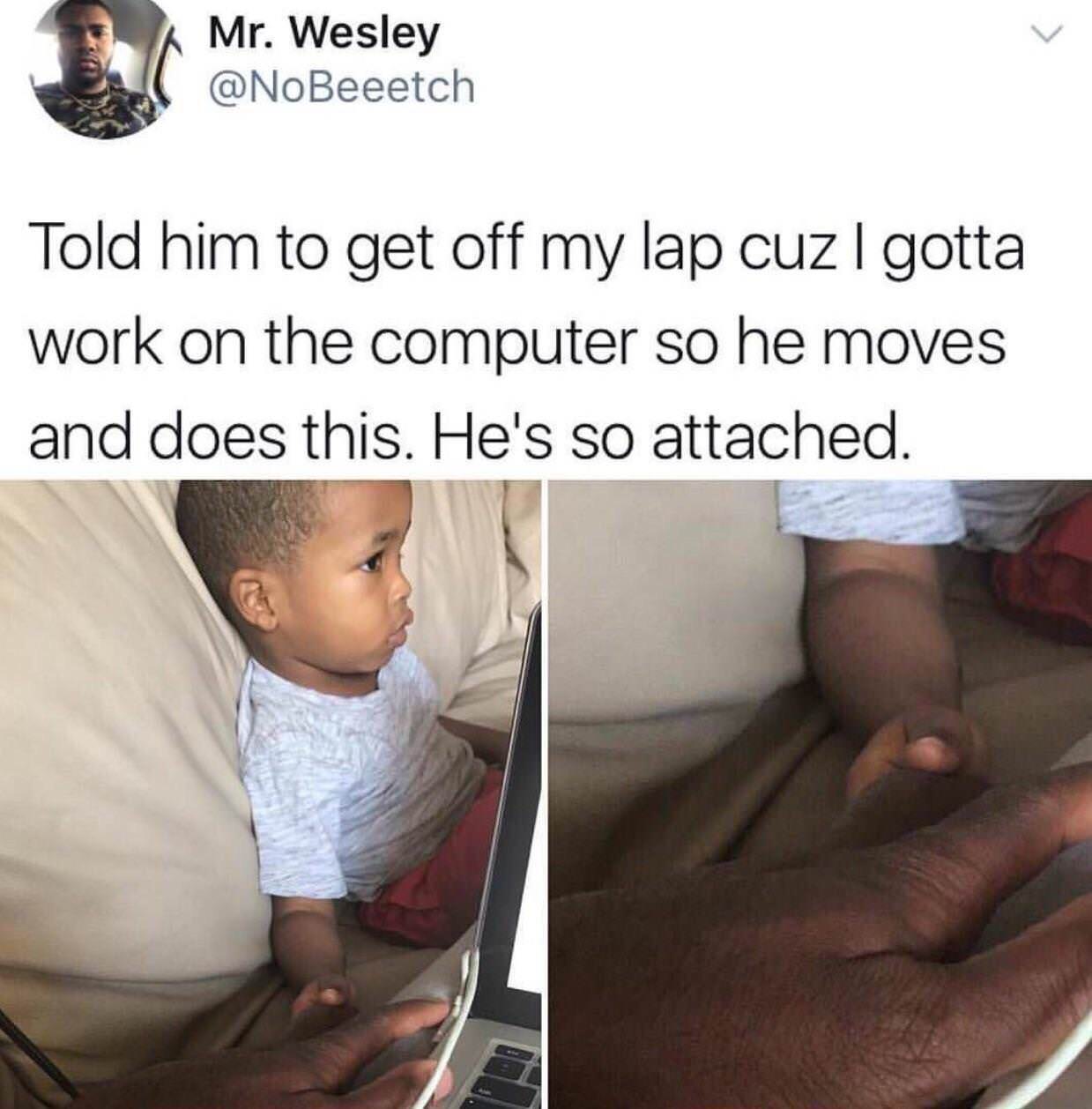 wholesome baby memes - Mr. Wesley Told him to get off my lap cuz I gotta work on the computer so he moves and does this. He's so attached.
