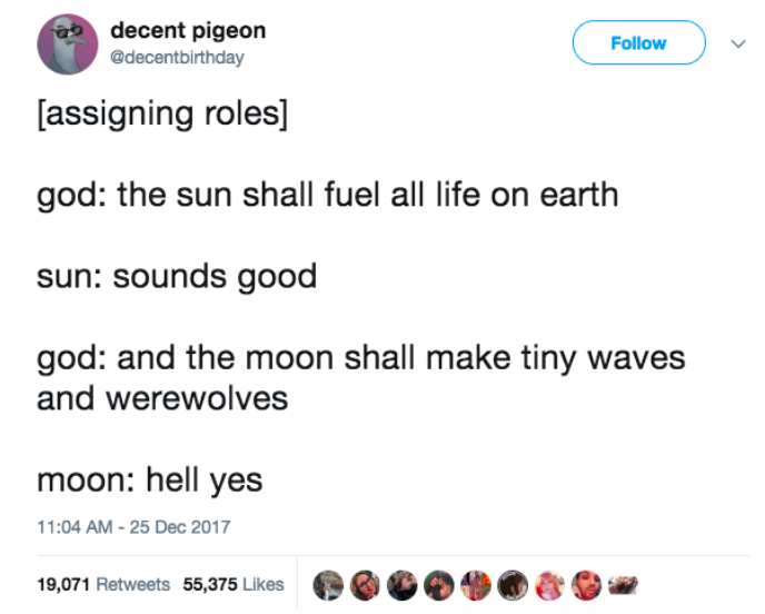 Humour - decent pigeon assigning roles god the sun shall fuel all life on earth sun sounds good god and the moon shall make tiny waves and werewolves moon hell yes 19,071 55,375 O