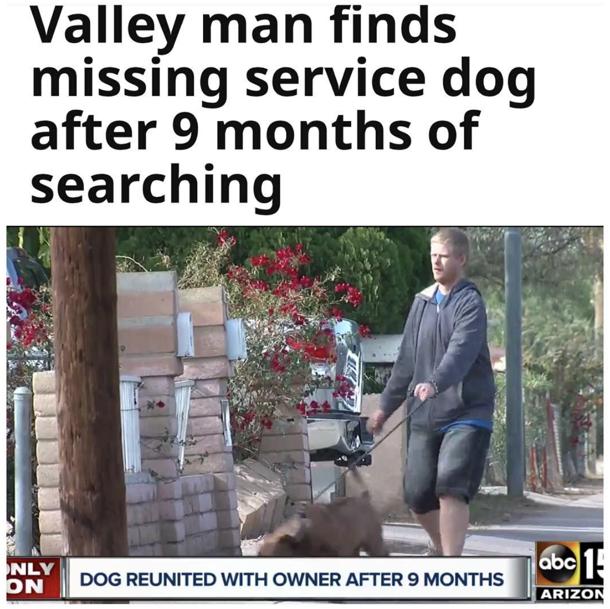tree - Valley man finds missing service dog after 9 months of searching Nly abc 1 Dog Reunited With Owner After 9 Months On Arizon