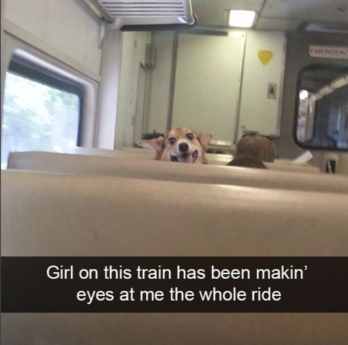texas accent meme - Girl on this train has been makin' eyes at me the whole ride