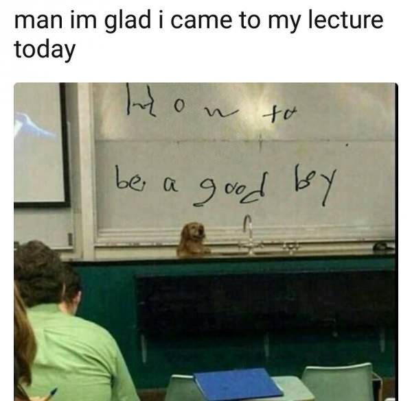 good boy - man im glad i came to my lecture today how to be a good by